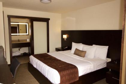 Boarders Inn & Suites by Cobblestone Hotels - Syracuse - image 3