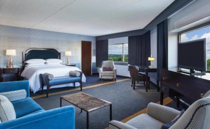 Sheraton Syracuse University Hotel and Conference Center - image 12
