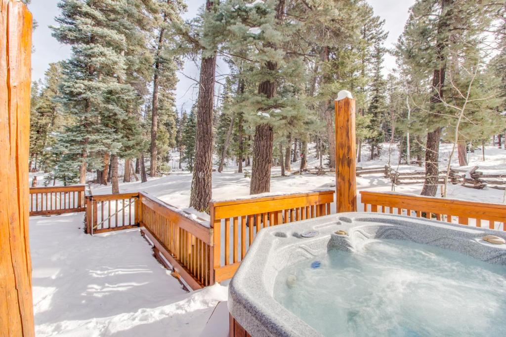 Bear Hollow Cabin - image 2