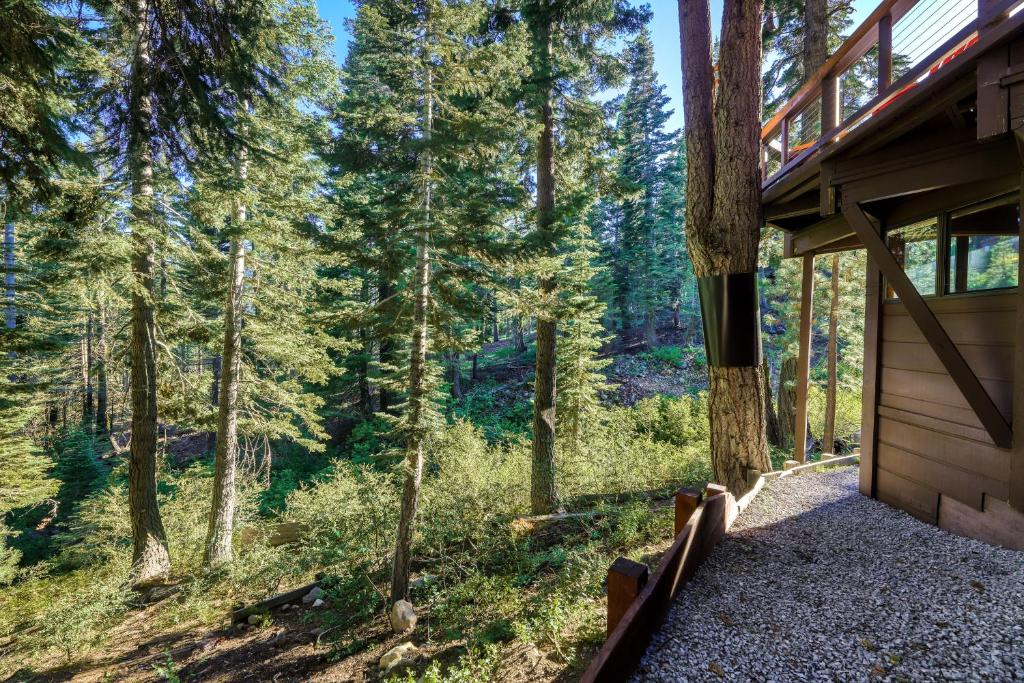 Alpine Creek Retreat - image 5