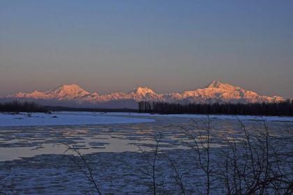 Talkeetna Fireweed Cabins - image 12