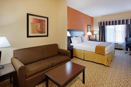 Holiday Inn Express Hotel & Suites Talladega an IHG Hotel - image 11