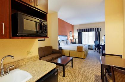 Holiday Inn Express Hotel & Suites Talladega an IHG Hotel - image 4