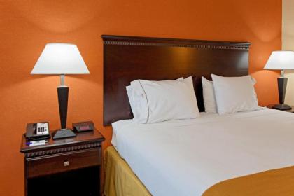 Holiday Inn Express Hotel & Suites Talladega an IHG Hotel - image 6