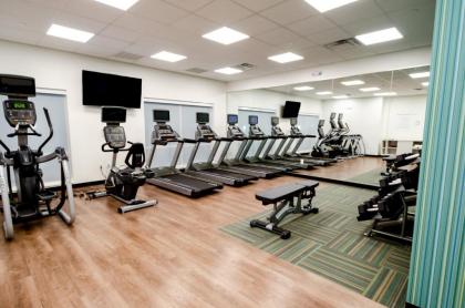 Holiday Inn Express & Suites - Taylor an IHG Hotel - image 5