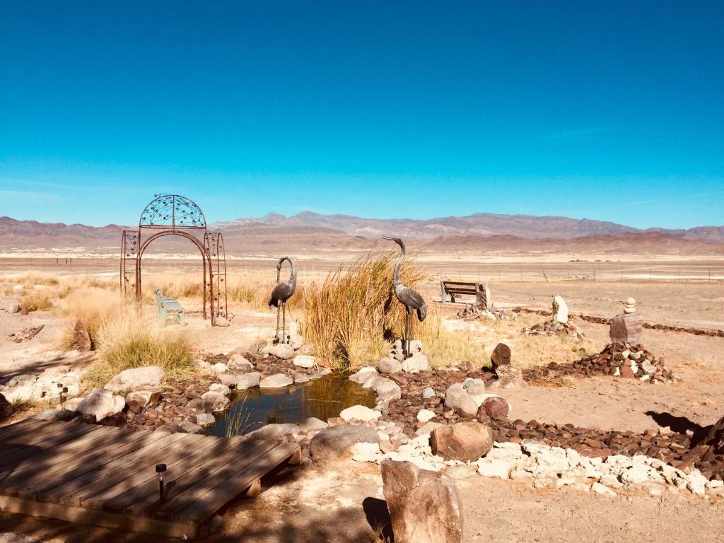 Tecopa Sunrise - image 4