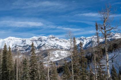 Villas at Cortina by Alpine Lodging Telluride - image 5