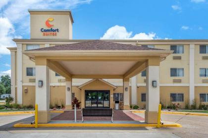 Comfort Suites Terre Haute University Area - image 3