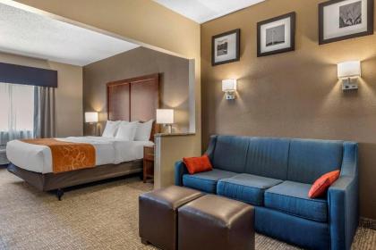 Comfort Suites Terre Haute University Area - image 9