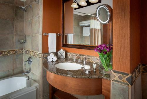 Snake River Lodge And Spa - image 2
