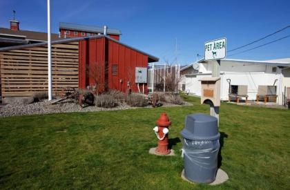 Cousin's Country Inn - image 9