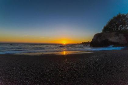 Pacific Pearl - image 2