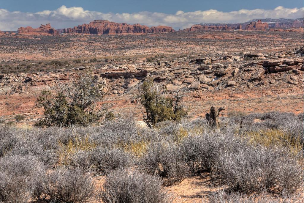 Under Canvas Moab - image 7