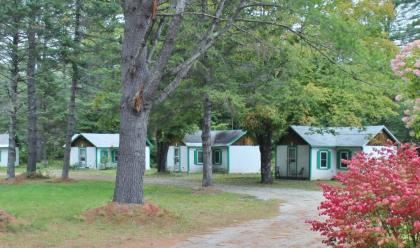 Pine Valley Cabins - image 7
