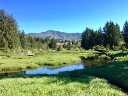 Tillamook Bay City RV Park - image 4