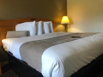 Budget Inn Timmonsville - image 13