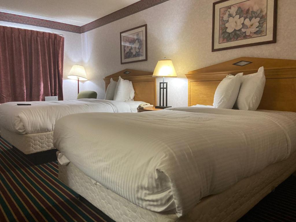 Budget Inn Timmonsville - image 4