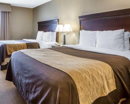Comfort Inn & Suites near Tinley Park Amphitheater - image 3