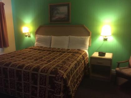 Twin Pine Motel - image 10