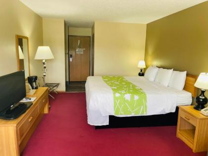 Designer Inn and Suites