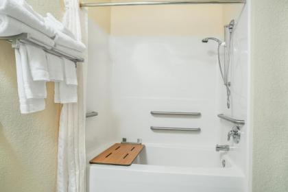 Microtel Inn & Suites Tomah - image 14