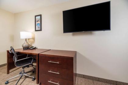 Comfort Inn Tonopah - image 13