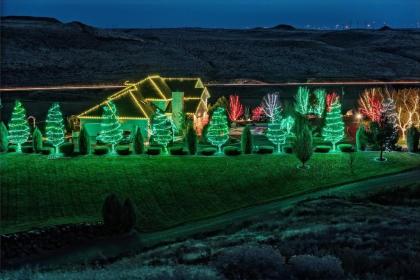 Cameo Heights Mansion - image 5