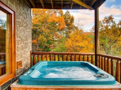 Rocky Top Joy Cabin - image 5