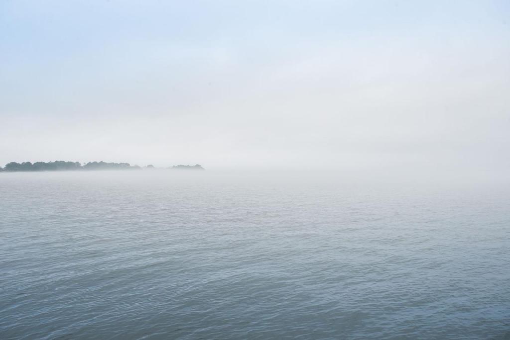 Great Texas Lakefront on CedarCreek Lake - image 4