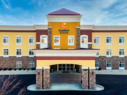 Comfort Suites Troy