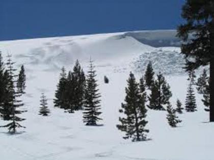 Tahoe Donner Classic by Tahoe Truckee Vacation Properties - image 17