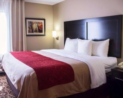 Comfort Inn & Suites Trussville I-59 exit 141 - image 10