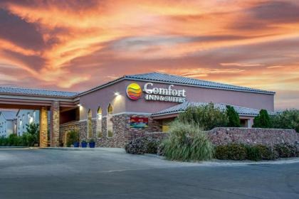 Comfort Inn & Suites I-25 near Spaceport America - image 10