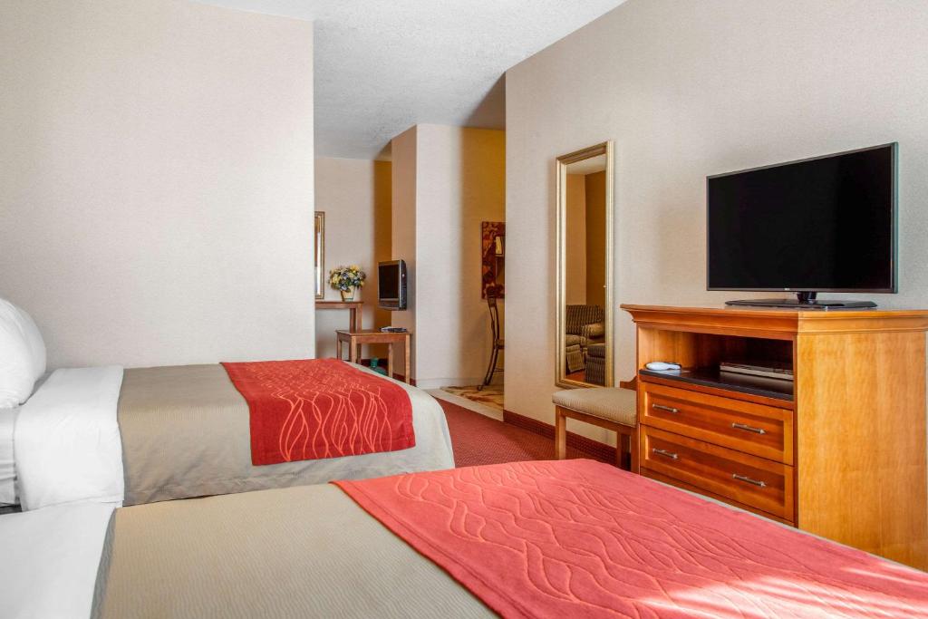Comfort Inn & Suites I-25 near Spaceport America - image 2