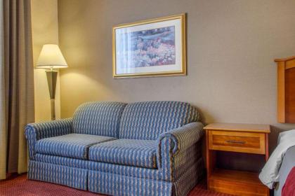 Comfort Inn & Suites I-25 near Spaceport America - image 3