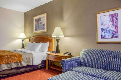 Comfort Inn & Suites I-25 near Spaceport America - image 4