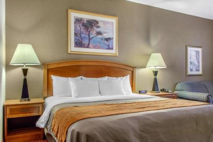 Comfort Inn & Suites I-25 near Spaceport America - image 5