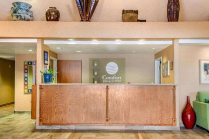 Comfort Inn & Suites I-25 near Spaceport America - image 6