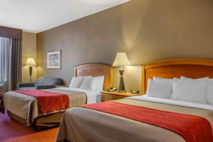 Comfort Inn & Suites I-25 near Spaceport America - image 9