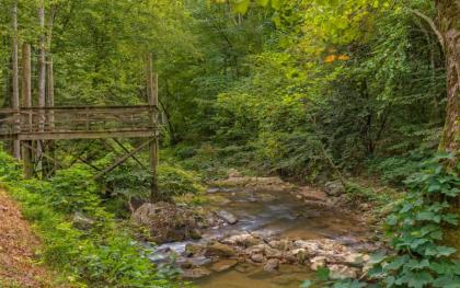 Rushing Waters Retreat - image 10