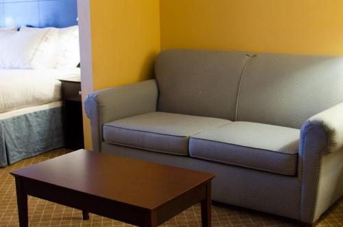 Holiday Inn Express Hotel & Suites Tucson an IHG Hotel - image 2
