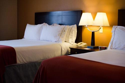 Holiday Inn Express Hotel & Suites Tucson an IHG Hotel - image 4