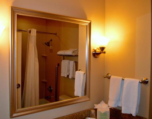 Holiday Inn Express Hotel & Suites Tucson an IHG Hotel - image 5