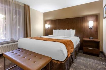 Comfort Suites At Sabino Canyon - image 4