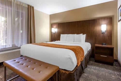 Comfort Suites At Sabino Canyon - image 4