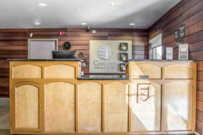 Comfort Inn & Suites near Kino Sports Complex - image 2