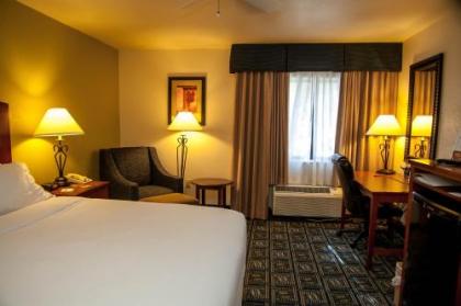 Holiday Inn Express Tucson-Airport an IHG Hotel - image 3