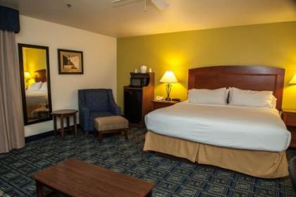 Holiday Inn Express Tucson-Airport an IHG Hotel - image 4