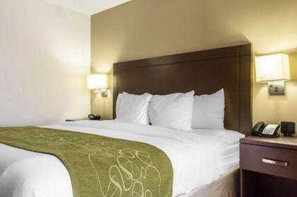 Comfort Suites at Tucson Mall - image 4