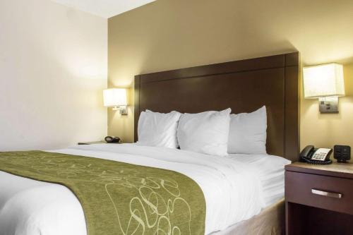 Comfort Suites at Tucson Mall - image 4